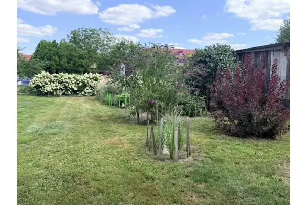 rawicki, Bojanowo, Bojanowo ul. Podgórna dom wolnostojacy z dużą działką
