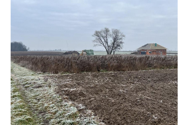 leszczyński, Rydzyna, Dąbcze, Dąbcze działka na sprzedaż!!