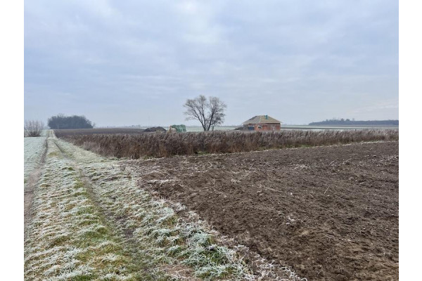 leszczyński, Rydzyna, Dąbcze, Dąbcze działka na sprzedaż!!