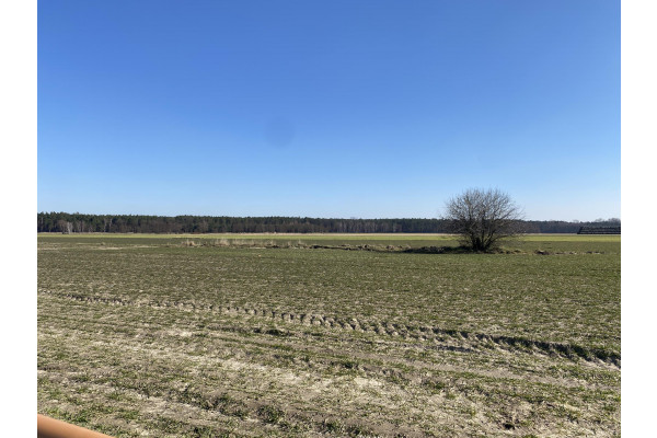 leszczyński, Święciechowa, Niechłód, Niechłód działki budowlane na sprzedaż!!!