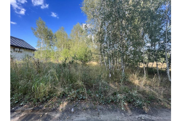 leszczyński, Lipno, Lipno - działka nbudowlana a sprzedaż
