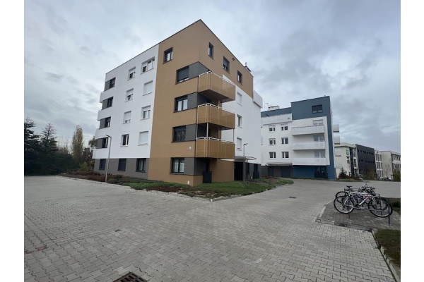 Poznań, Poznań-Grunwald, Poznań - Ziębicka - ZADBANE 3 pokojowe UMEBLOWANE