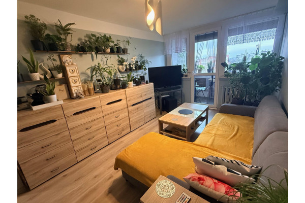 milicki, Milicz, Milicz-2 pokojowe z balkonem - idealne pod inwestycję