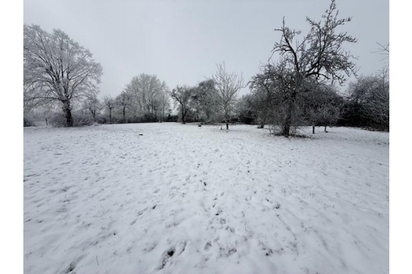rawicki, Bojanowo, Suł&oacute;w Mały, Suł&oacute;w Mały - siedlisko z zabudowaniami i ziemią