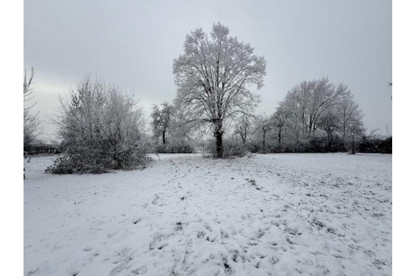 rawicki, Bojanowo, Suł&oacute;w Mały, Suł&oacute;w Mały - siedlisko z zabudowaniami i ziemią