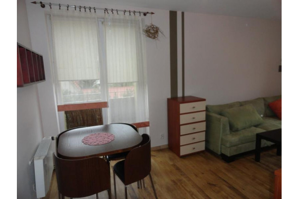 leszczyński, Rydzyna, Rydzyna - kawalerka do wynajęcia!!