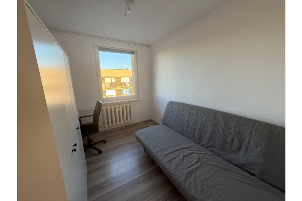 Leszno, Leszno 17 tycznia 2 -pokojowe do wynajęcia