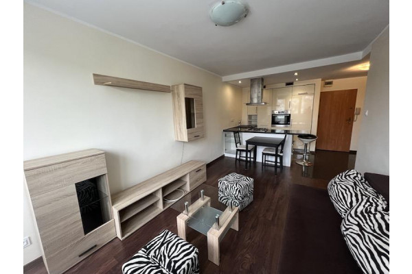 wielkopolskie, Leszno, Leszno - 2-pokojowe, UMEBLOWANE