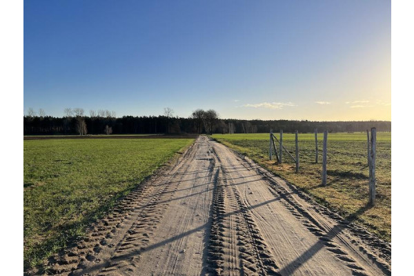 wielkopolskie, leszczyński, Święciechowa, Niechł&oacute;d, NIECHŁ&Oacute;D - działka budowlana w bezpośrednim sąsiedztwie LASU!!!